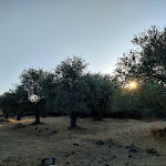 Photo n°9 de l'avis de carla.o fait le 28/07/2022 à 13:55 sur le  Alma bed à Sennariolo