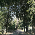 Photo n°11 de l'avis de Marilu.i fait le 06/07/2020 à 16:20 sur le  Montespina Park Hotel à Naples