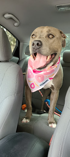 Pet Supply Store «PetSmart», reviews and photos, 13001 Peyton Dr, Chino Hills, CA 91709, USA