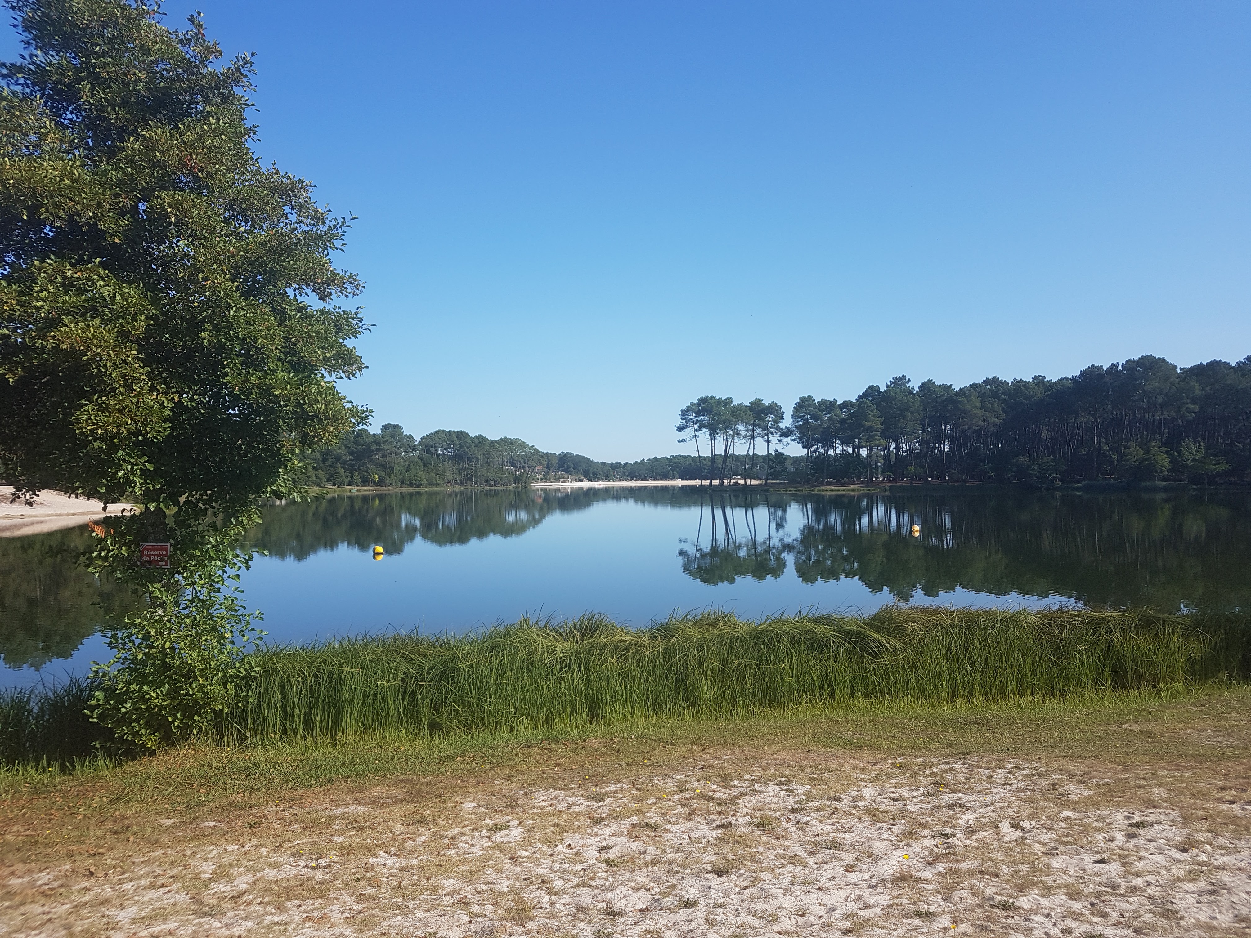 Photo n° 3 de l'avis de Gilles.e fait le 19/09/2019 à 09:53