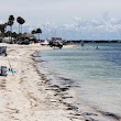 Dunedin Causeway