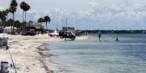 Dunedin Causeway