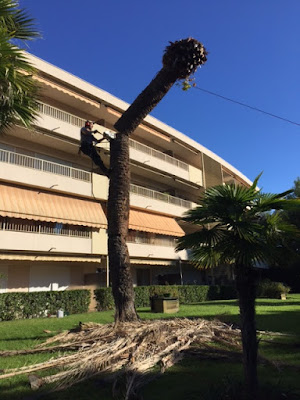Conticello garden à Antibes