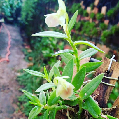 Orquidario Ezequiel