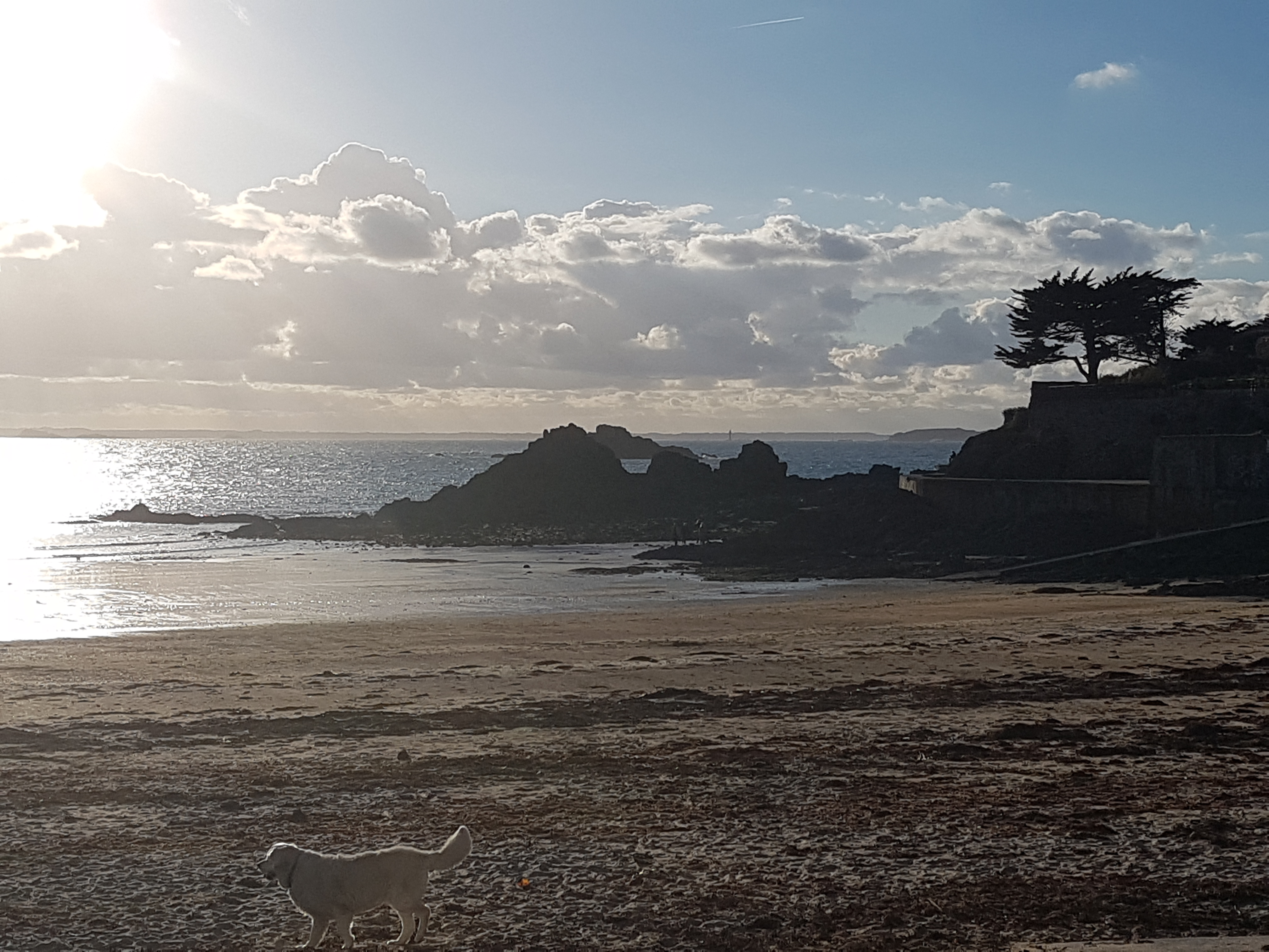 Photo n° 1 de l'avis de Gerard.e fait le 11/10/2020 à 16:29