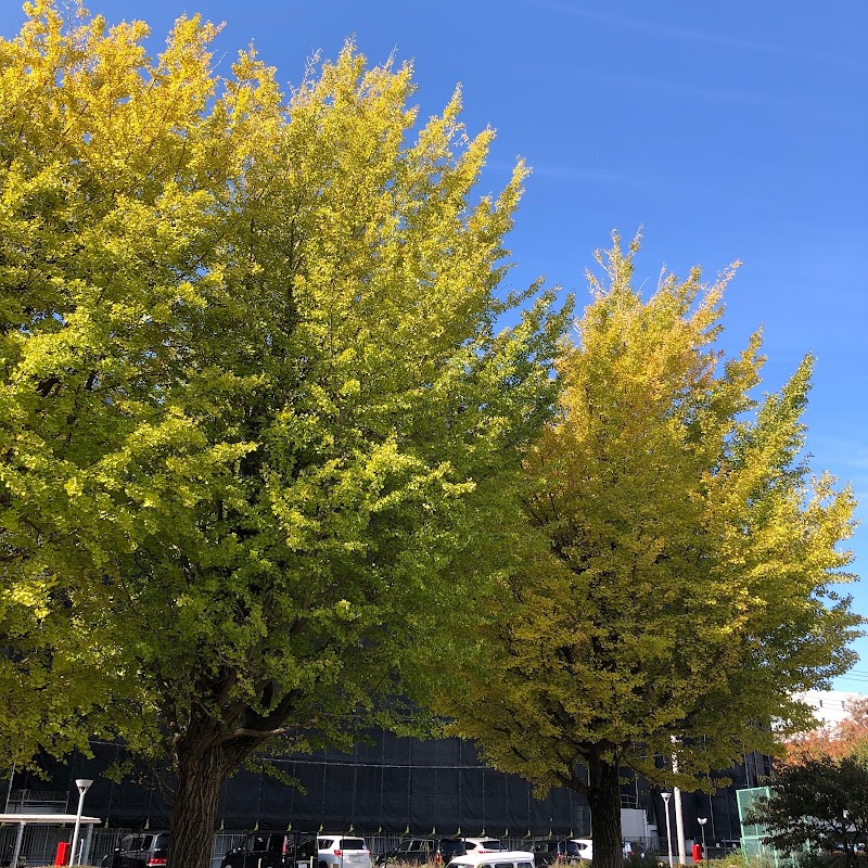 前原西6丁目イチョウ公園