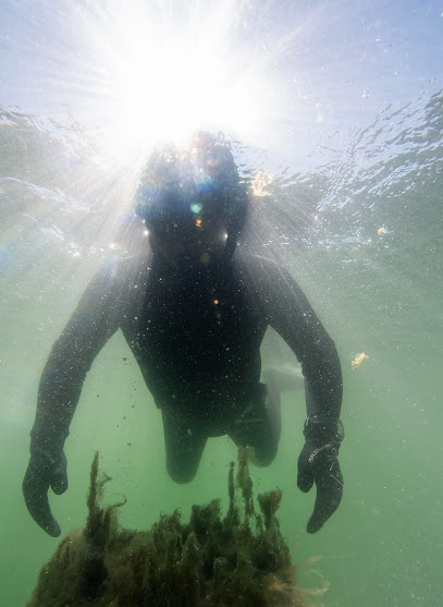 Freediving Opava a Potápění ValMez