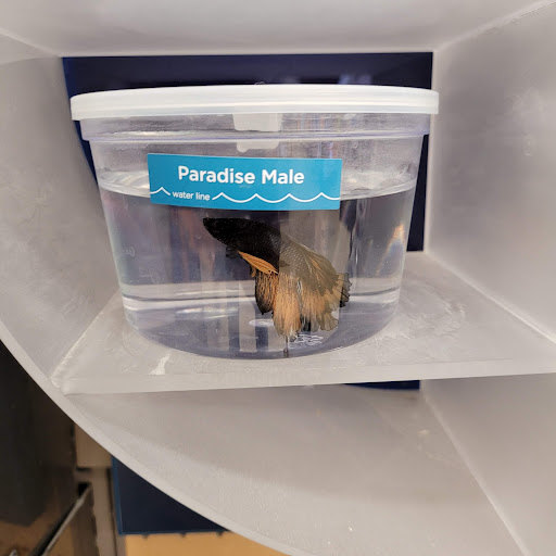 Pet Supply Store «Petco Animal Supplies», reviews and photos, 8404 Eager Rd b, Brentwood, MO 63144, USA