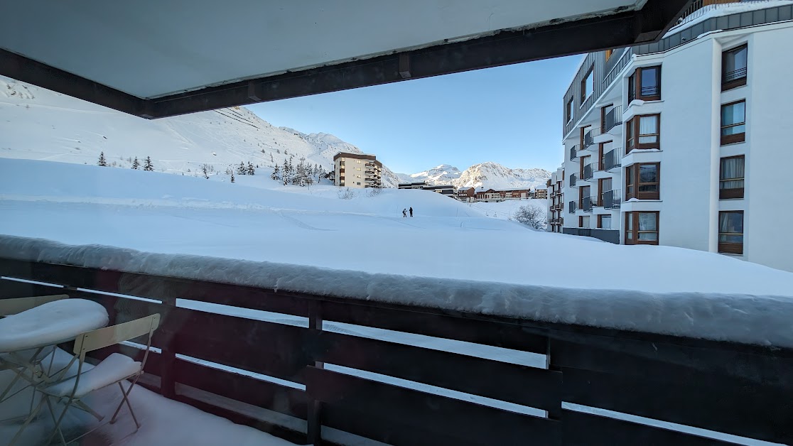 Les Soldanelles à Tignes (Savoie 73)