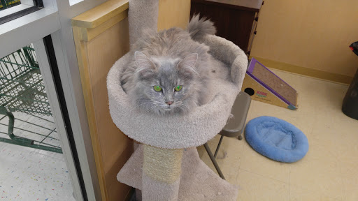 Pet Supply Store «Pet Supplies Plus», reviews and photos, 311 Sagamore Pkwy N, Lafayette, IN 47904, USA