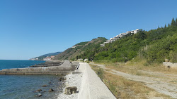 Zdjęcie Alushta beach z poziomem czystości wysoki