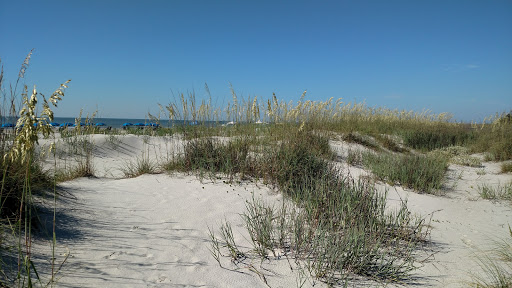 Beach Resort «Omni Hilton Head Oceanfront Resort», reviews and photos