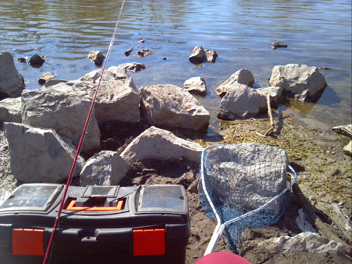 National Reserve «Montezuma National Wildlife Refuge», reviews and photos, 3395 US-20, Seneca Falls, NY 13148, USA