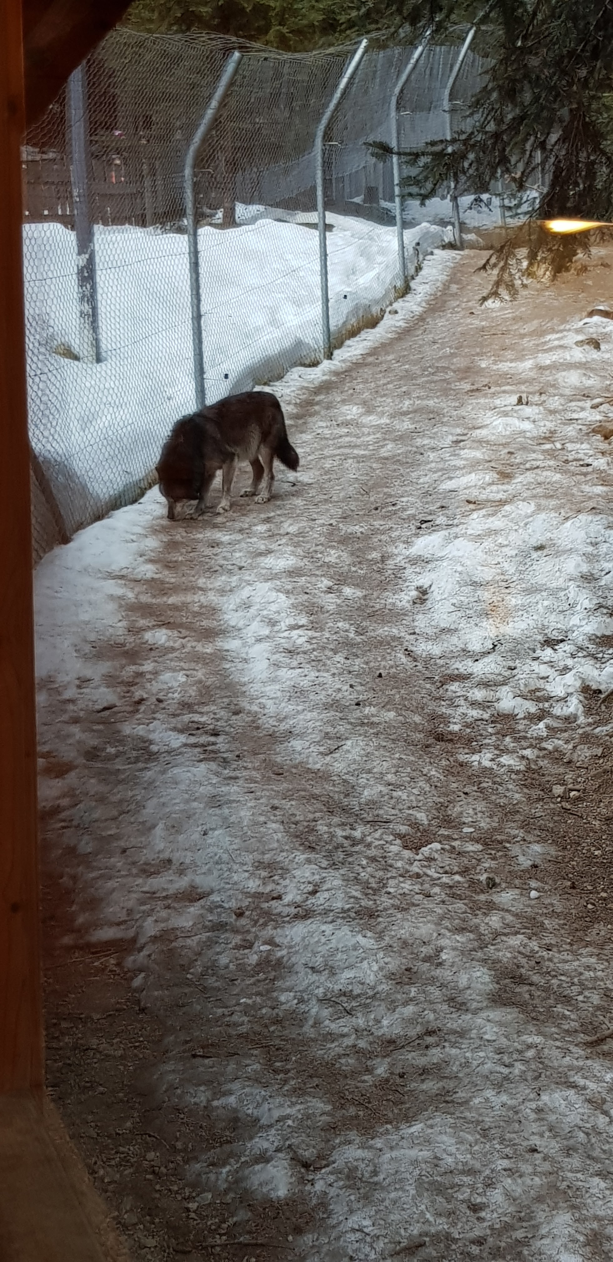 Photo n° 2 de l'avis de Greg.6 fait le 29/01/2020 à 10:11