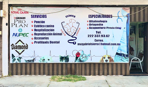 Veterinaria SmartVets