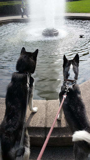 Garden «Conservatory Garden», reviews and photos, 402 5th Ave, New York, NY 10029, USA