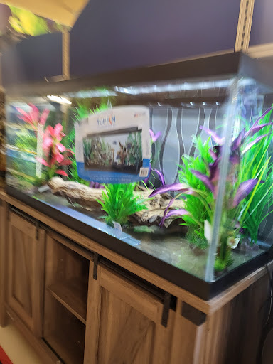 Pet Supply Store «PetSmart», reviews and photos, 1160 Stafford Market Pl, Stafford, VA 22556, USA