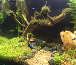 88 Aquarium photo