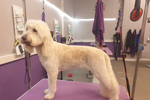 Pawfect Style Dog Grooming Academy