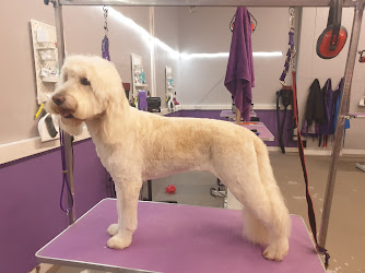 Pawfect Style Dog Grooming Academy