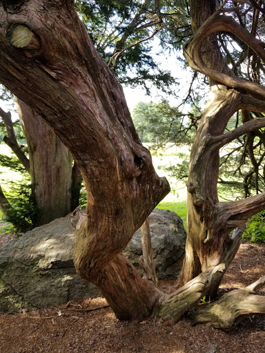 Vineyard «Haight Vineyard», reviews and photos, 29 Chestnut Hill Rd, Litchfield, CT 06759, USA