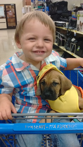 Pet Supply Store «PetSmart», reviews and photos, 950 Hanes Mall Blvd, Winston-Salem, NC 27103, USA