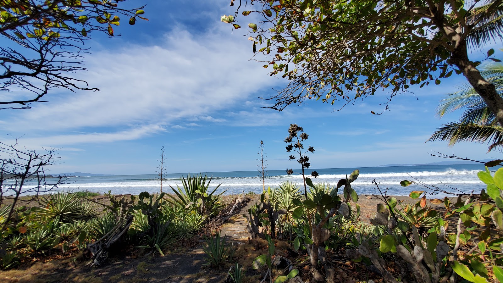 Playa Tivives photo #7
