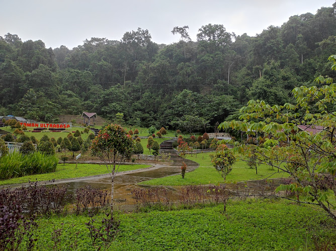 Kebun Raya Kendari