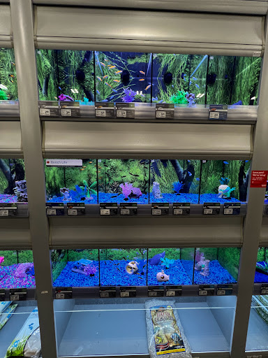 Pet Supply Store «PetSmart», reviews and photos, 67 Consumer Square, Plattsburgh, NY 12901, USA