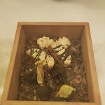 Photo n°4 de l'avis de Sabrina.e fait le 17/11/2023 à 23:37 sur le  Essenza Restaurant di Pasquale Granata à Trento