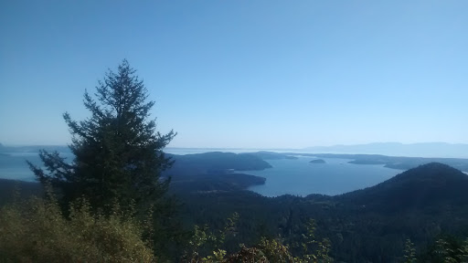 Museum «The Whale Museum», reviews and photos, 62 1st St, Friday Harbor, WA 98250, USA