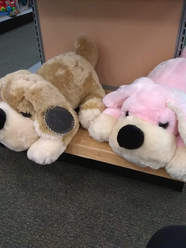 Book Store «Barnes & Noble», reviews and photos, 19401 Alderwood Mall Pkwy, Lynnwood, WA 98036, USA