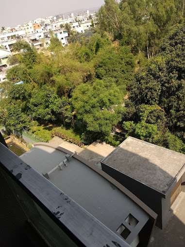 Google Maps image 10