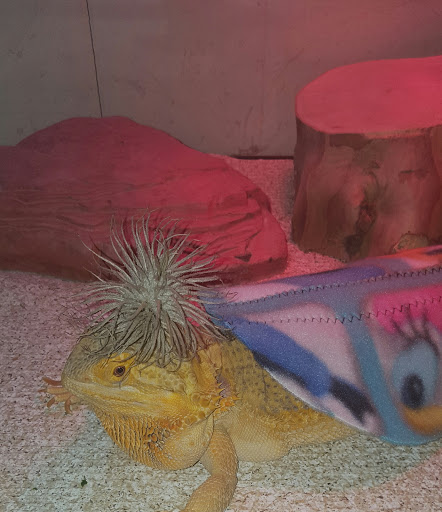 Pet Store «Paws Natural Pet Emporium», reviews and photos, 8551 W Gage Blvd, Kennewick, WA 99336, USA