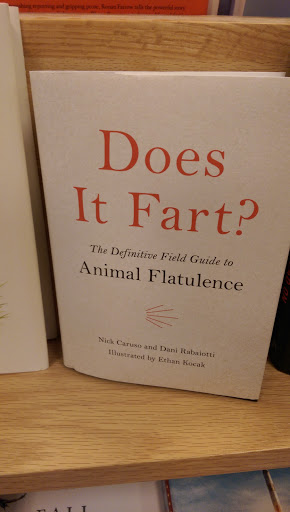 Book Store «Barnes & Noble», reviews and photos, 470 Universal Dr N, North Haven, CT 06473, USA