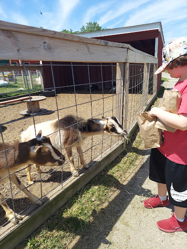 Social Services Organization «Lambs Farm», reviews and photos, 14245 W Rockland Rd, Libertyville, IL 60048, USA
