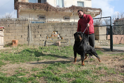 Haus of Rottweiler Türkiye