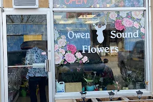 Owen Sound Flowers image
