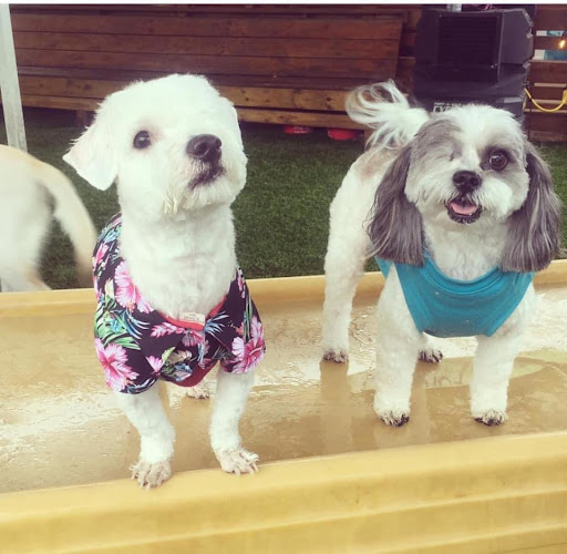 Pet Supply Store «PetSmart», reviews and photos, 9589 Ridgetop Blvd NW, Silverdale, WA 98383, USA