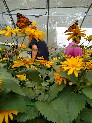 Botanical Garden «Beech Creek Botanical Garden & Nature Preserve», reviews and photos, 11929 Beech St NE, Alliance, OH 44601, USA