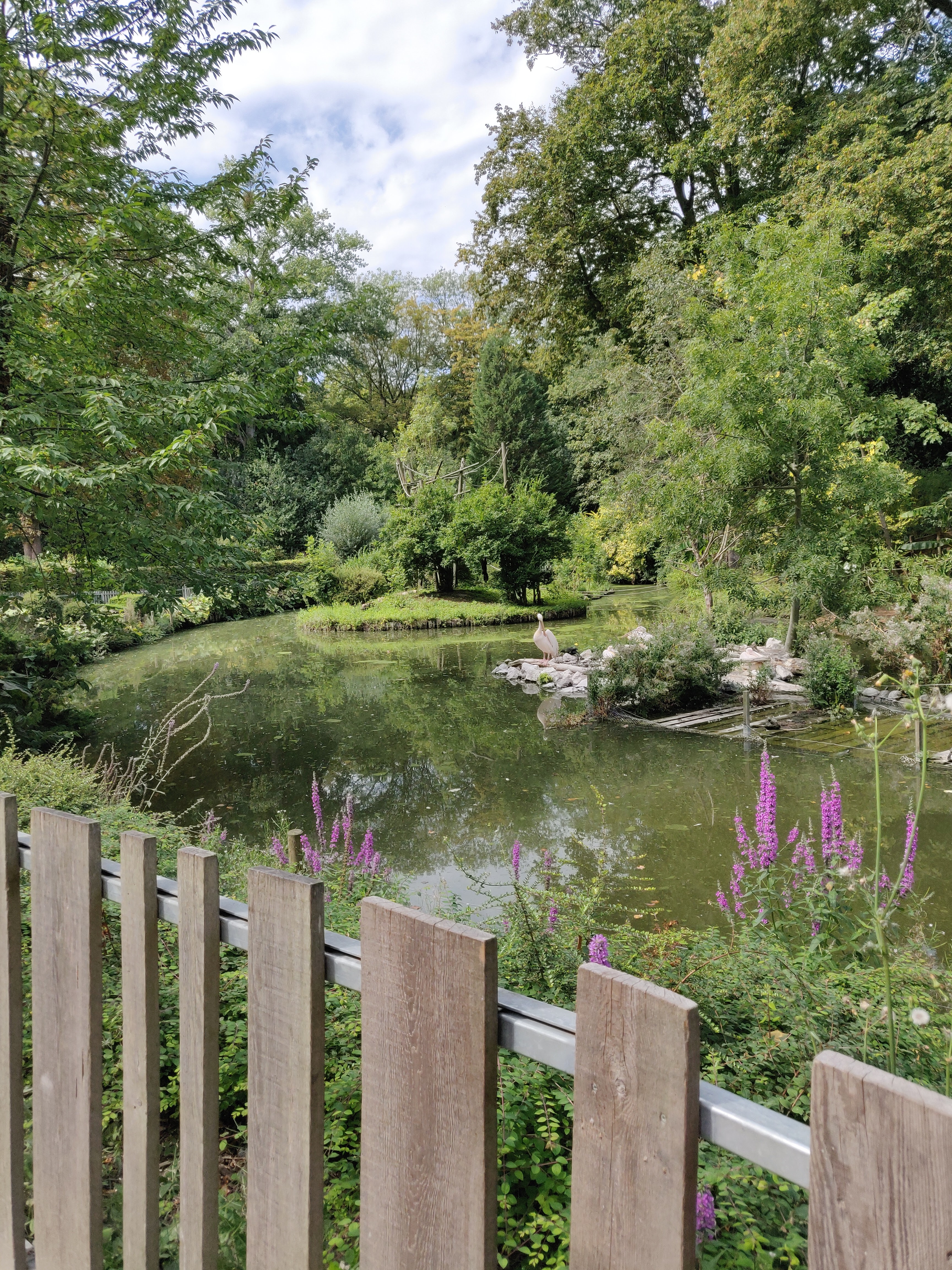 Photo n° 32 de l'avis de Amélie.e fait le 31/08/2019 à 17:39