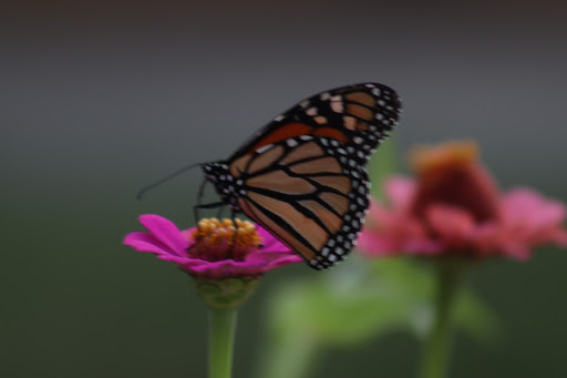 Boat Storage Facility «Self StorageOne ~ Perry Hall», reviews and photos, 7750 Rossville Blvd, Baltimore, MD 21236, USA