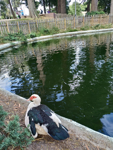 Parque Quinta das Freiras , Rio Tinto