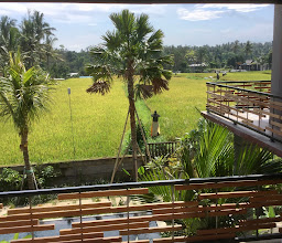 Green Sala Coffeeshop & Restaurant photo
