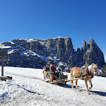 Photo n°3 de l'avis de Nico.e fait le 23/03/2022 à 11:25 sur le  Rifugio Spitzbühl à Kastelruth