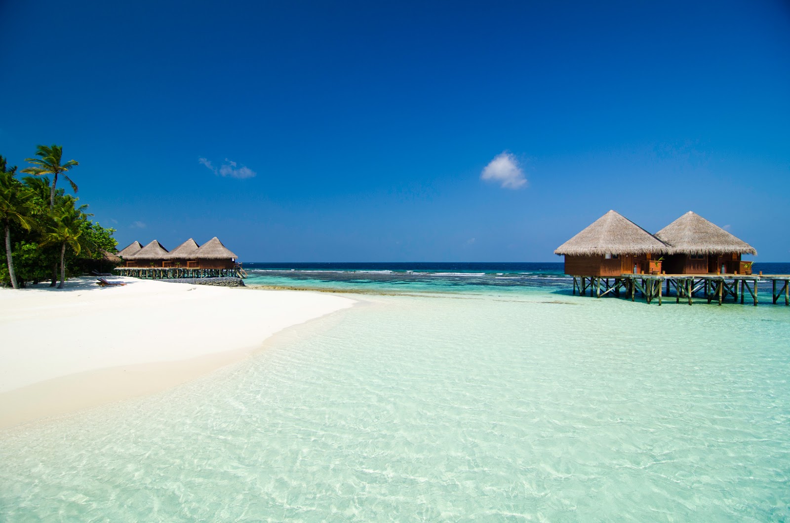 Photo of Mirihi Resort Island with white sand surface