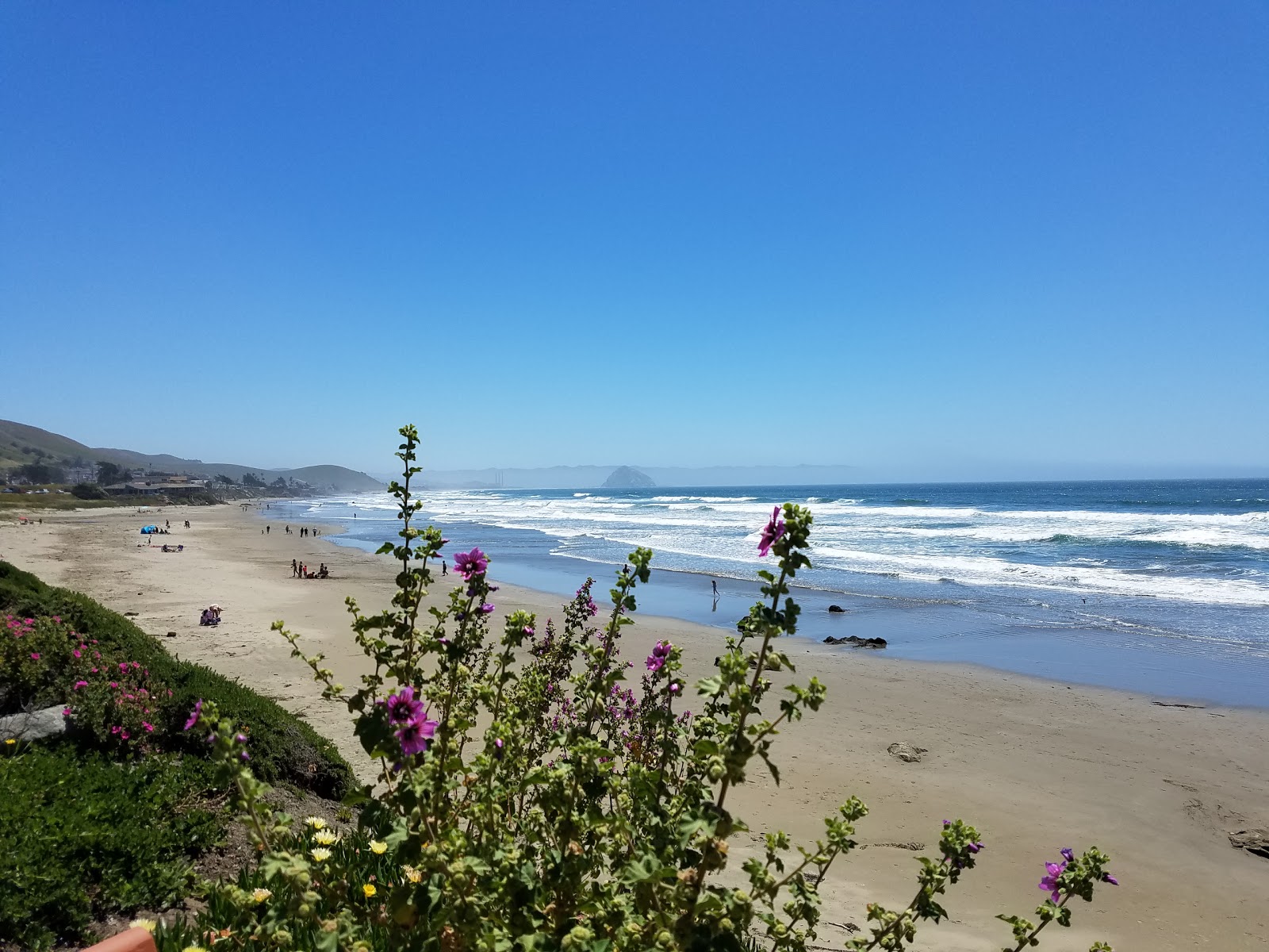 Photo of Morro Strand Beach - popular place among relax connoisseurs