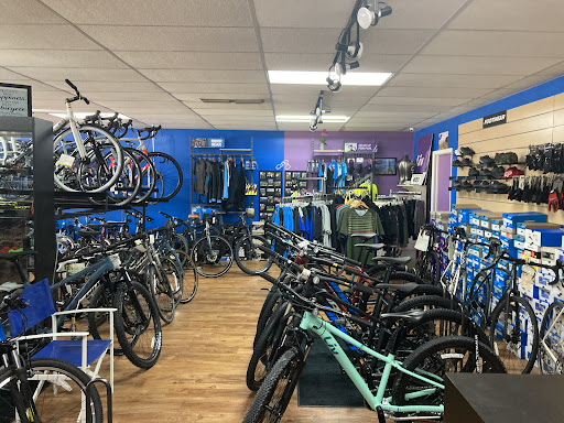 Bicycle Store «Hillsboro Bicycle Center», reviews and photos, 3330 W Hillsboro Blvd, Deerfield Beach, FL 33442, USA
