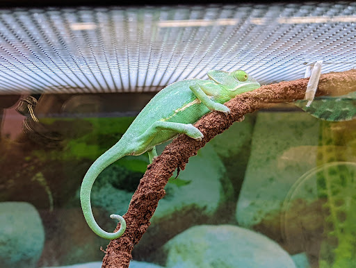 Pet Supply Store «Petco Animal Supplies», reviews and photos, 15895 Pines Blvd, Pembroke Pines, FL 33028, USA