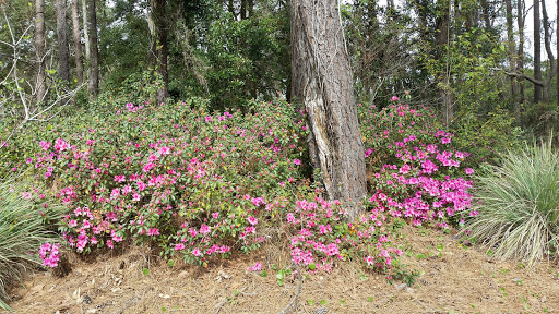 Golf Course «Founders Club at Pawleys Island», reviews and photos, 7829 Ocean Hwy, Pawleys Island, SC 29585, USA
